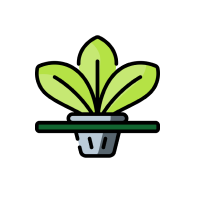 Teknik Deep Water Culture